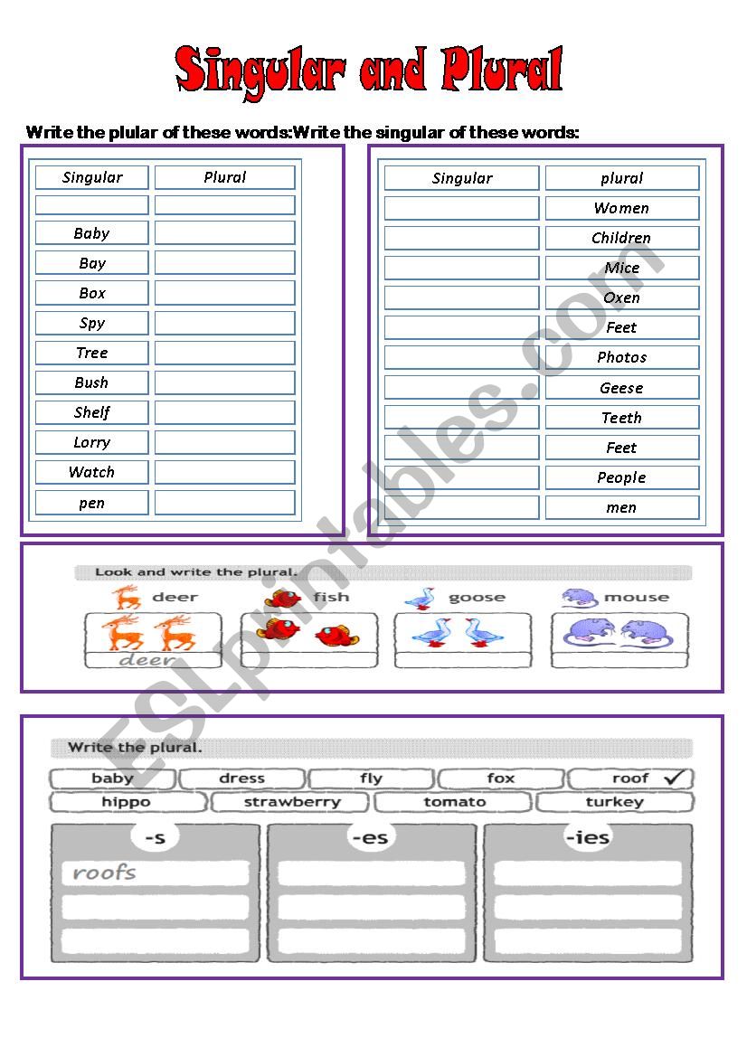 singular and plural worksheet