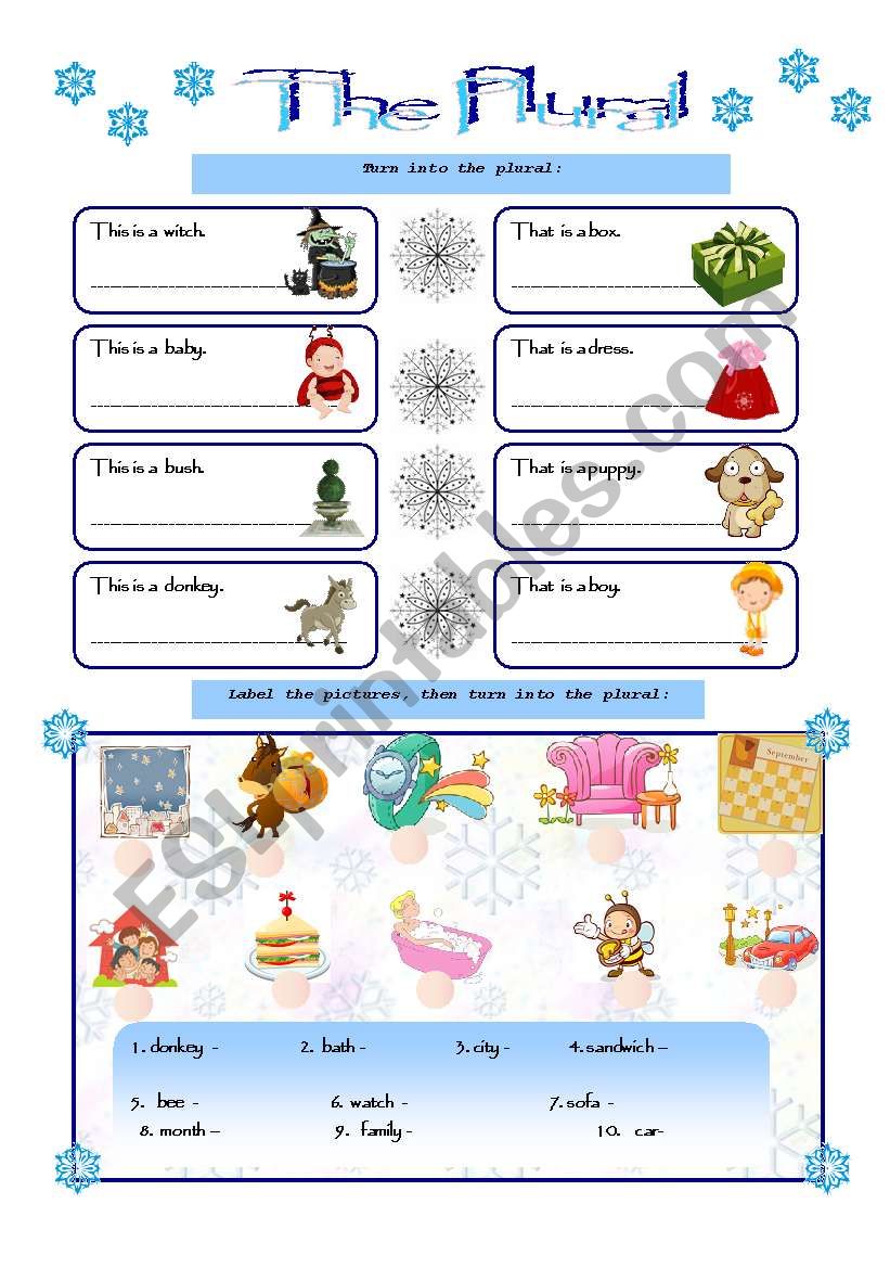 THE PLURAL worksheet