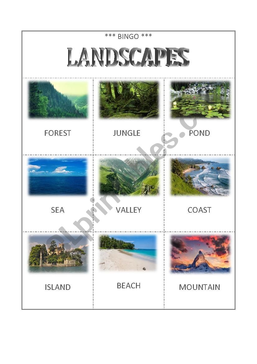 BINGO - LANDSCAPES 1 worksheet