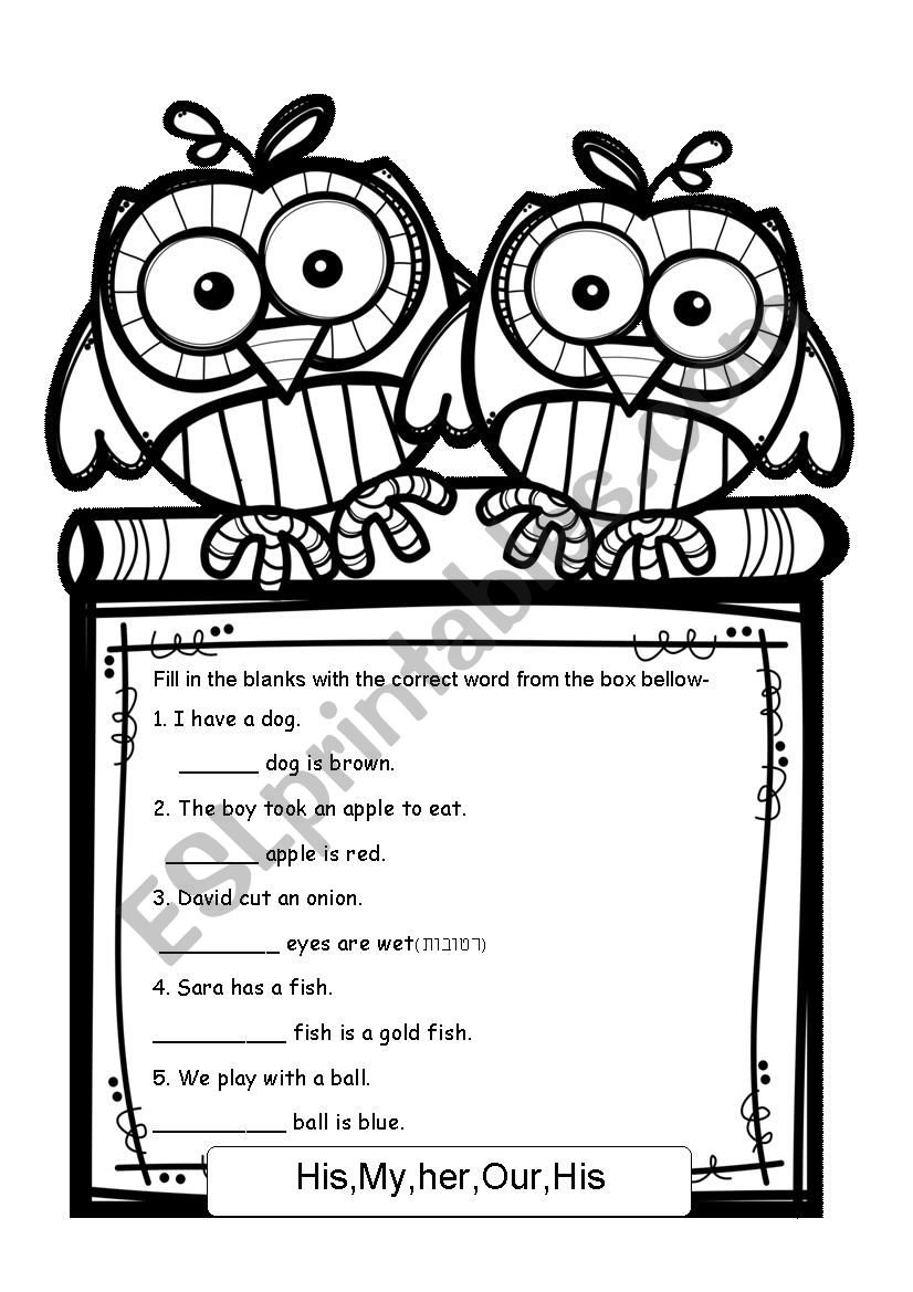 his- hers worksheet