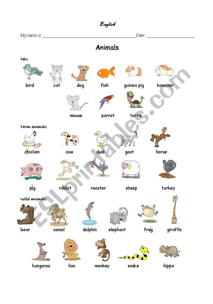Animals (Pets, Farm, Wild) - ESL worksheet by Kita19