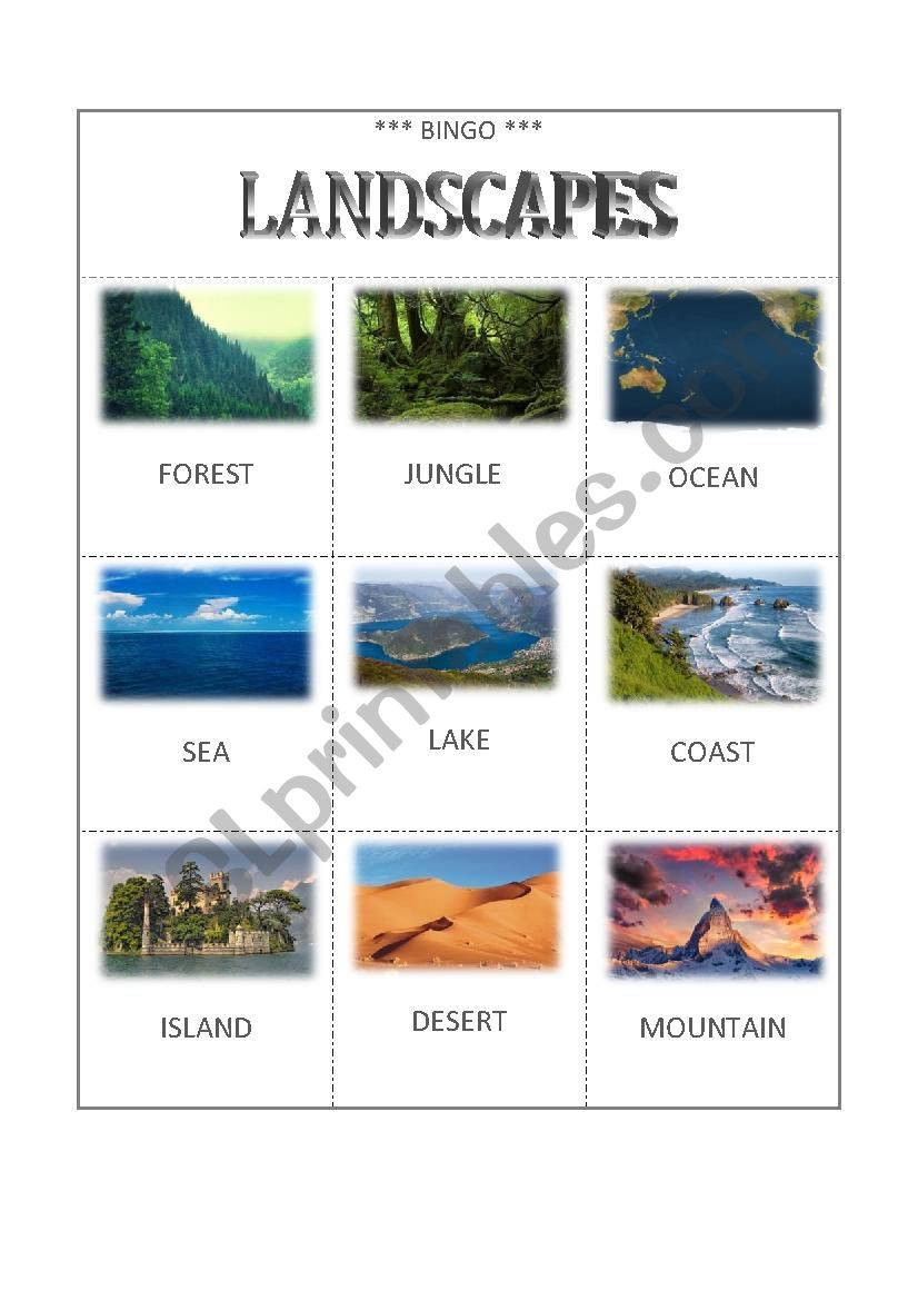 BINGO - LANDSCAPES 2 worksheet