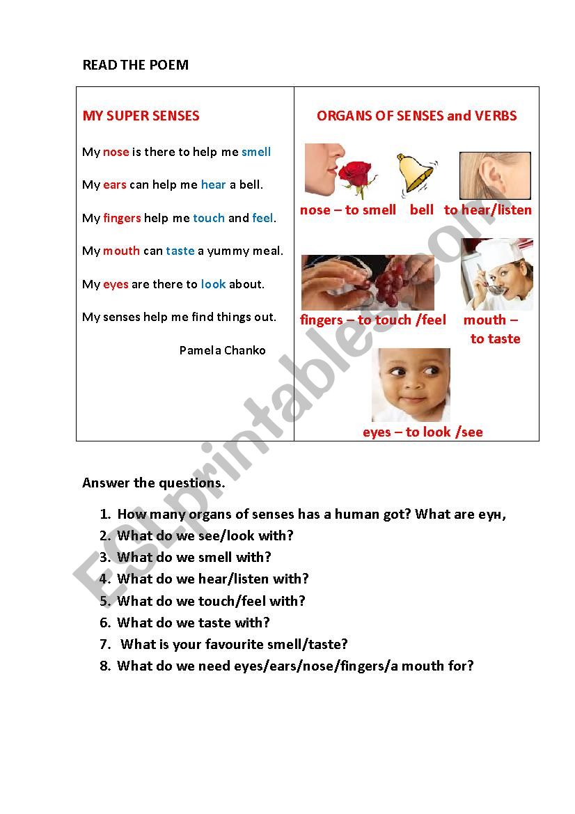 MY SUPER SENSES (a poem) worksheet