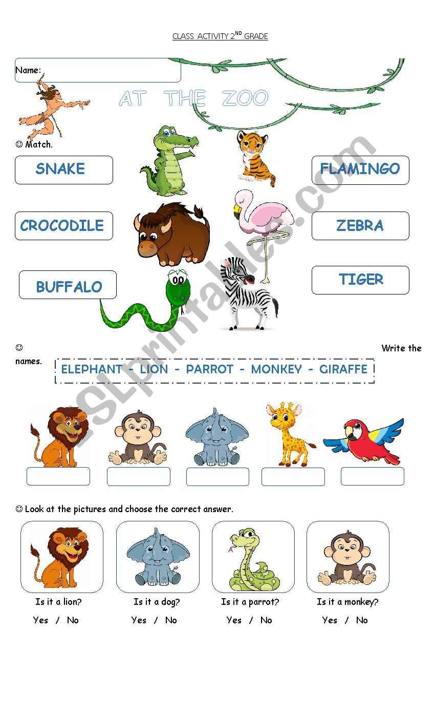 at the zoo worksheet