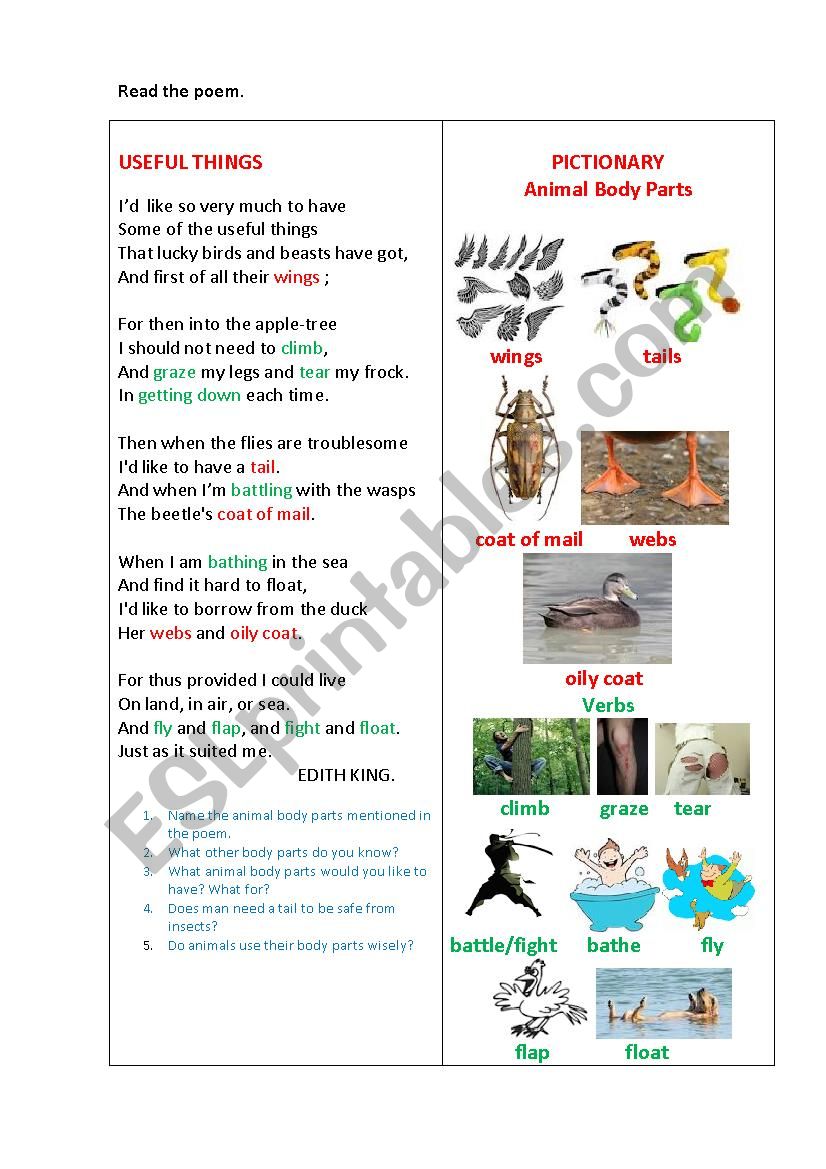 USEFUL THINGS - ESL worksheet by korova-daisy