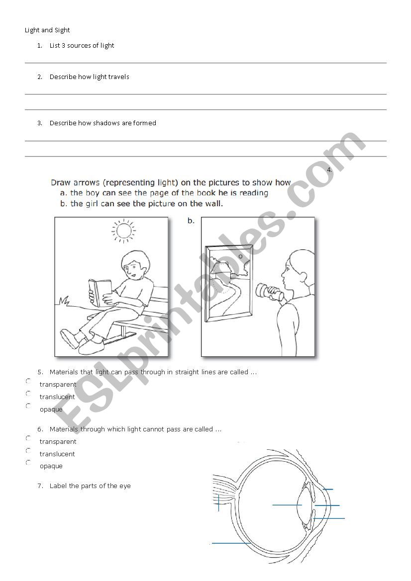 Light and Sight worksheet