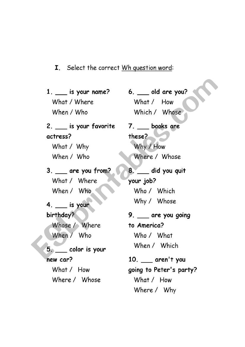 Wh questions worksheet