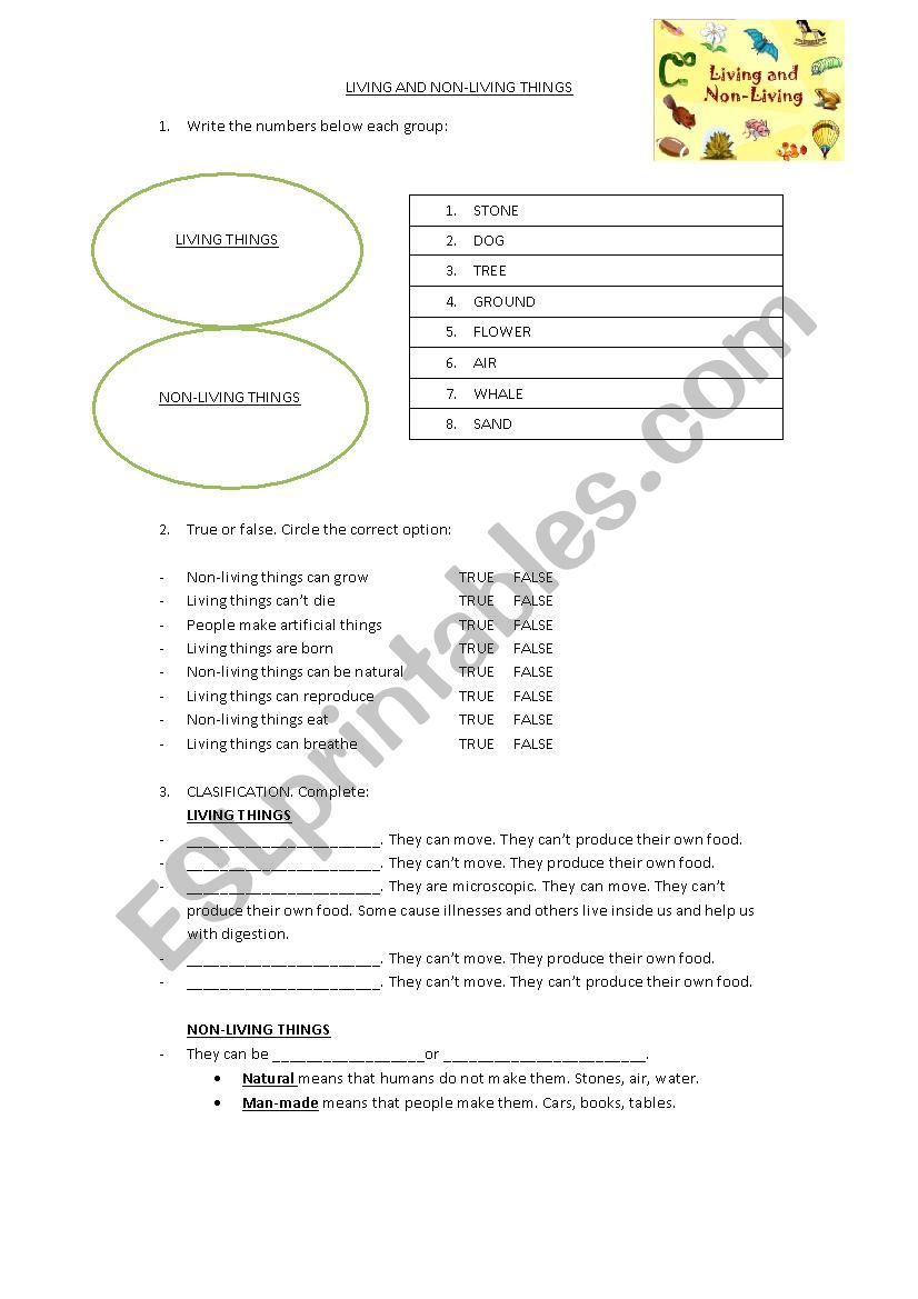 Vertebrates and invertebrates worksheet