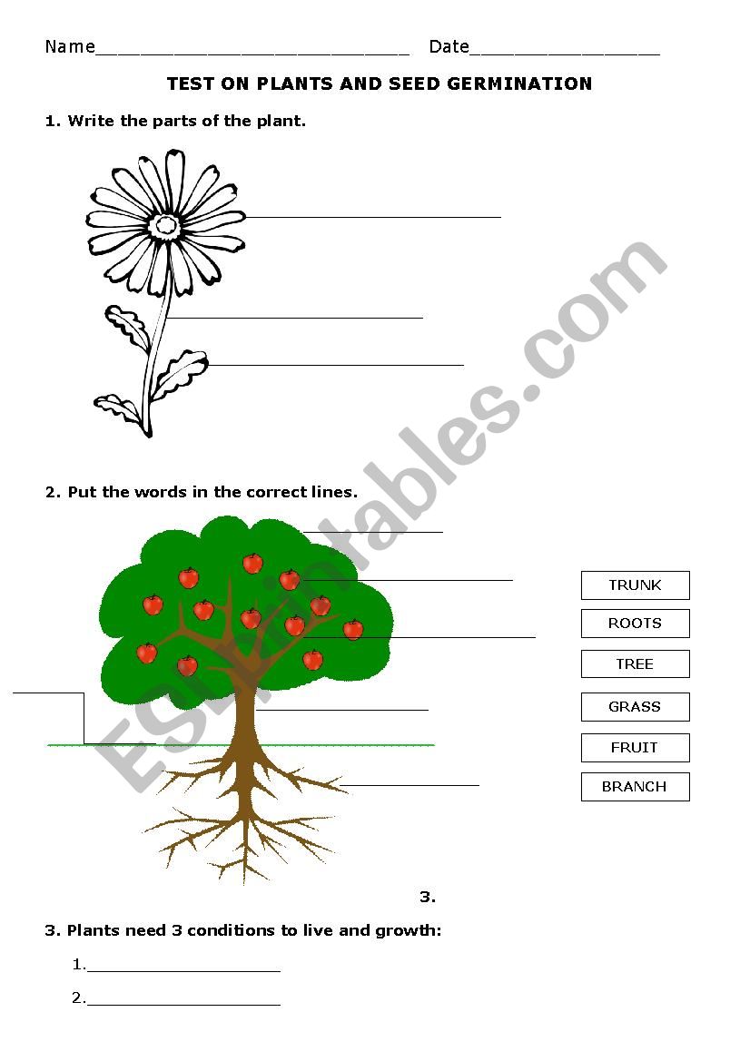 Test on plants and seed germination