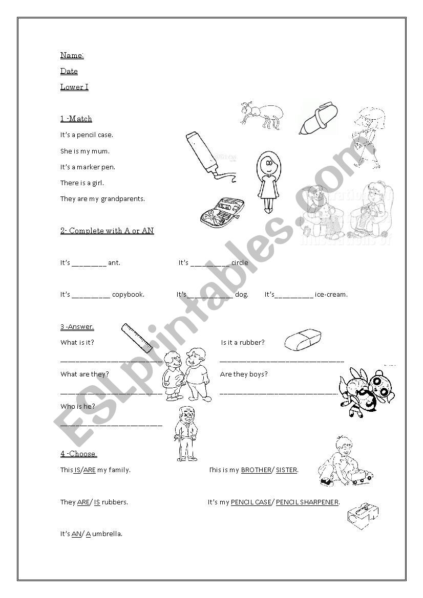 Test: Match, Answer, Choose worksheet