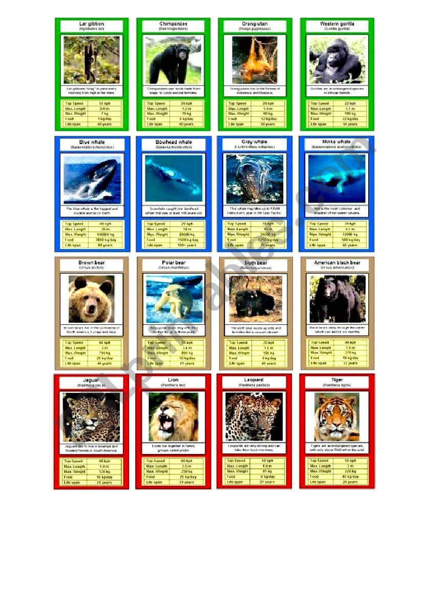 Animals top trumps worksheet