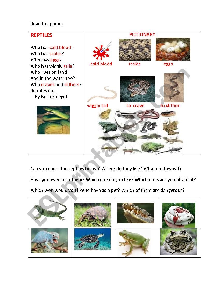 REPTILES ( a riddle-poem) worksheet