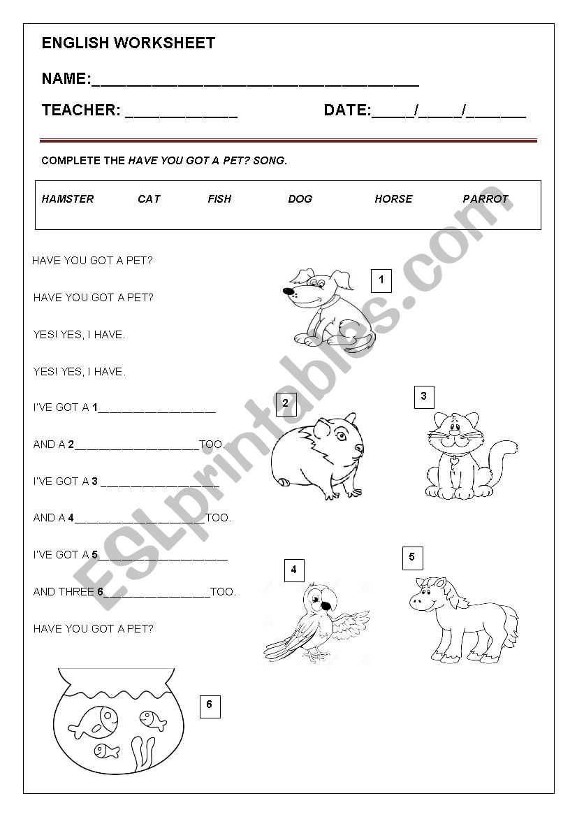 Have you got a pet? worksheet