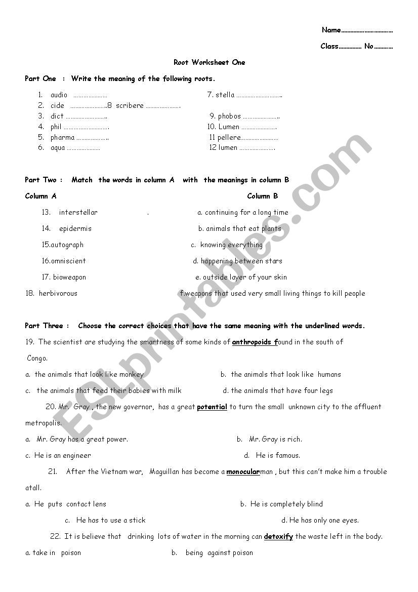 Root Worksheet worksheet