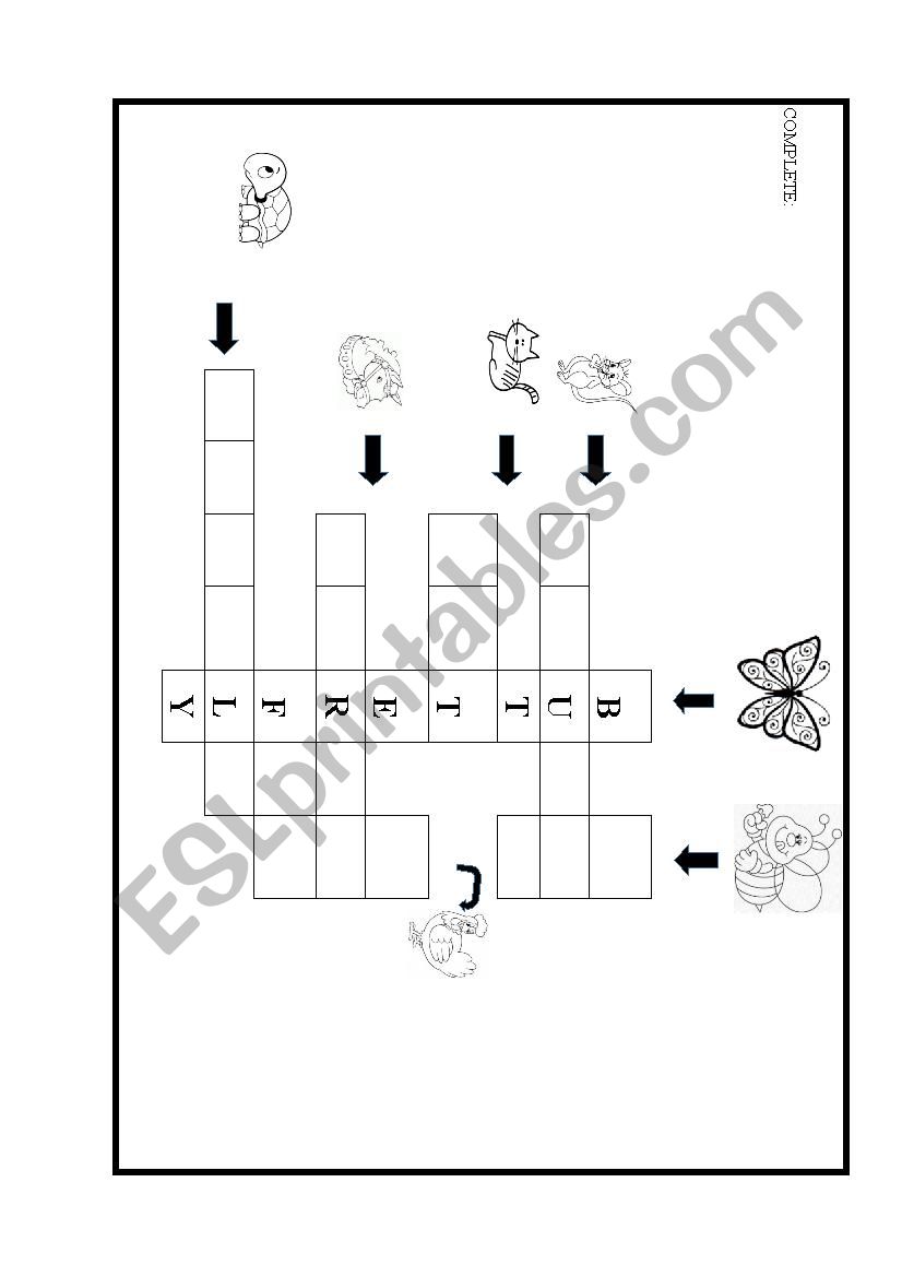 animals worksheet