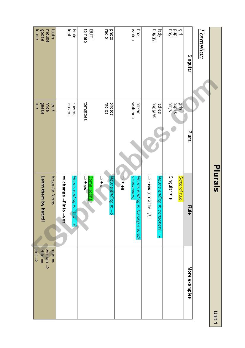 plural nouns worksheet