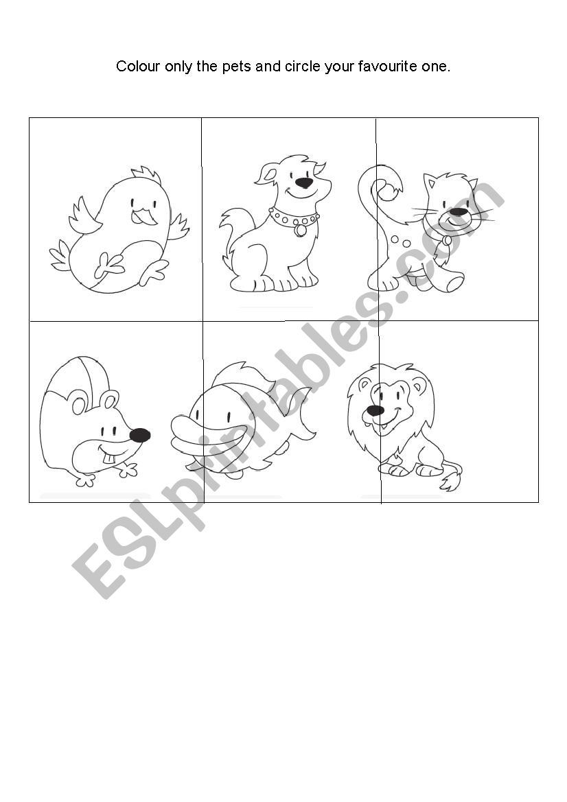 Pets worksheet