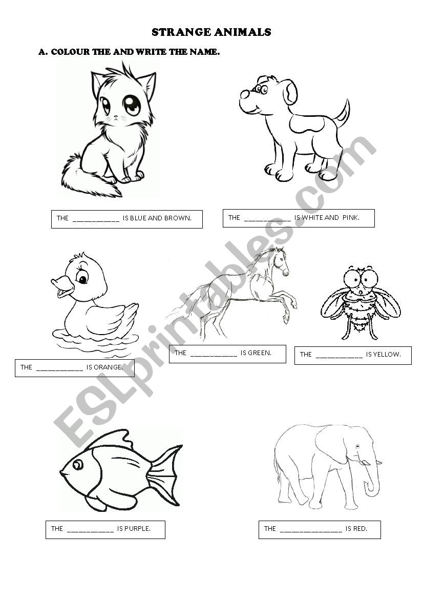 ANIMALS AND COLOURS worksheet