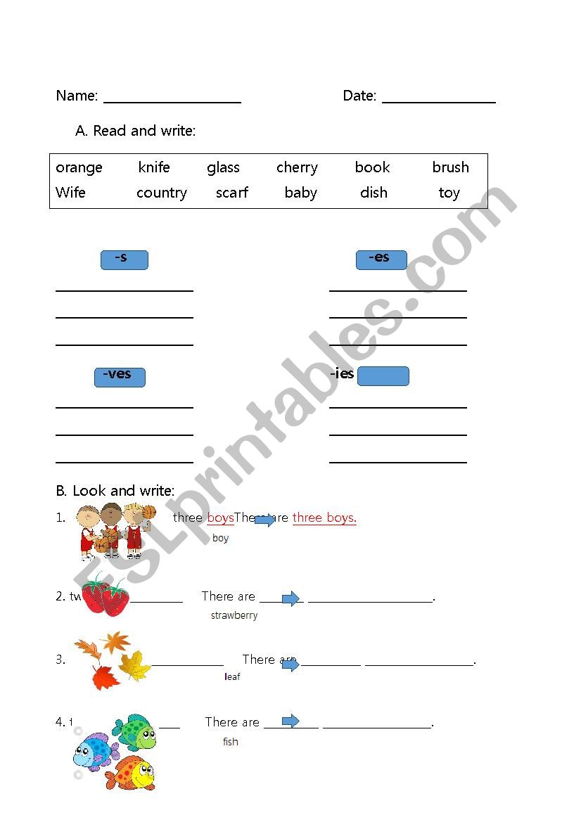 Regular Plural Nouns - ESL worksheet by kjh2001