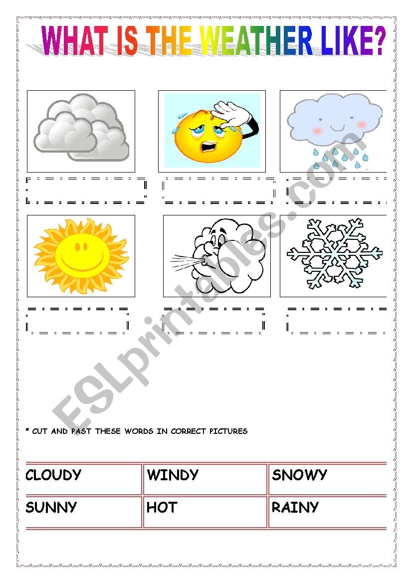 WHAT IS THE WEATHER LIKE? worksheet