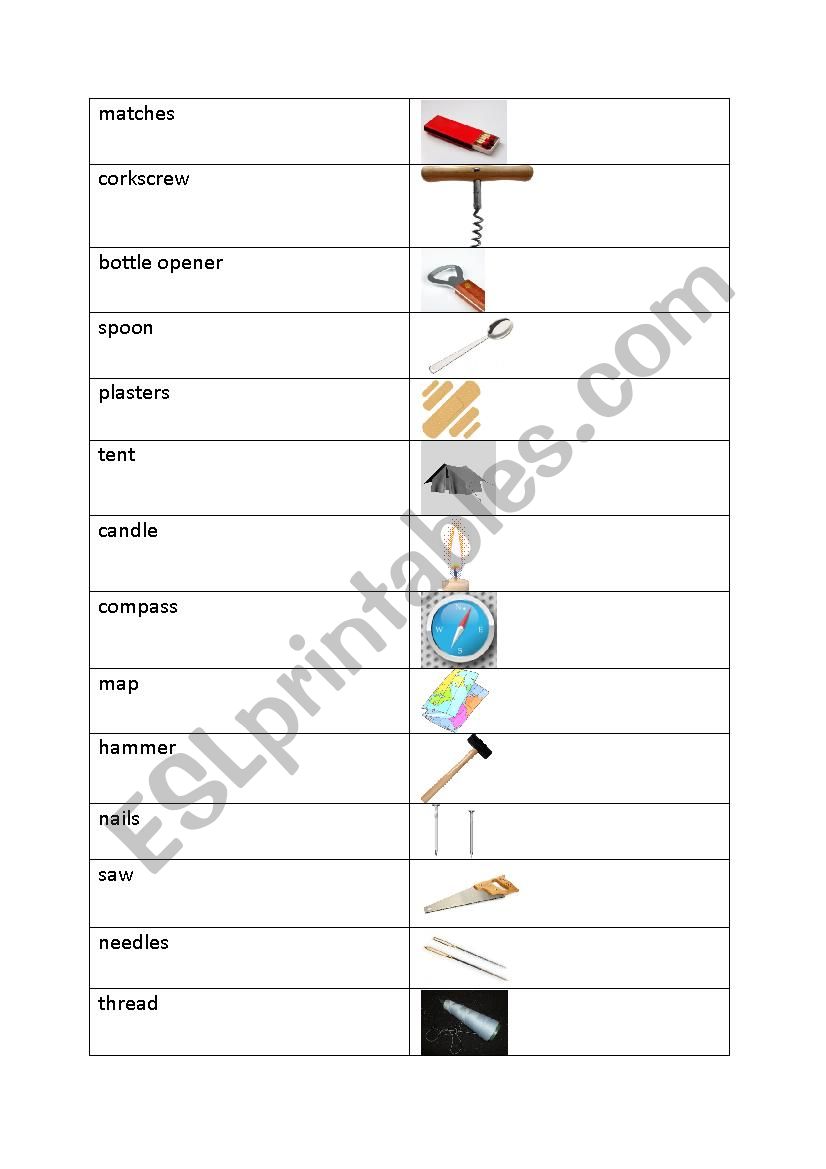 Survival pictionary worksheet