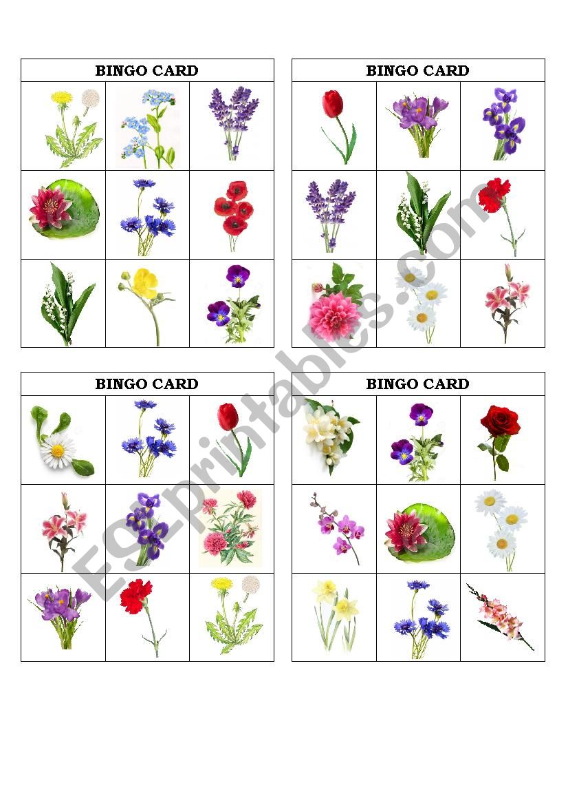 Bingo game with flowers worksheet