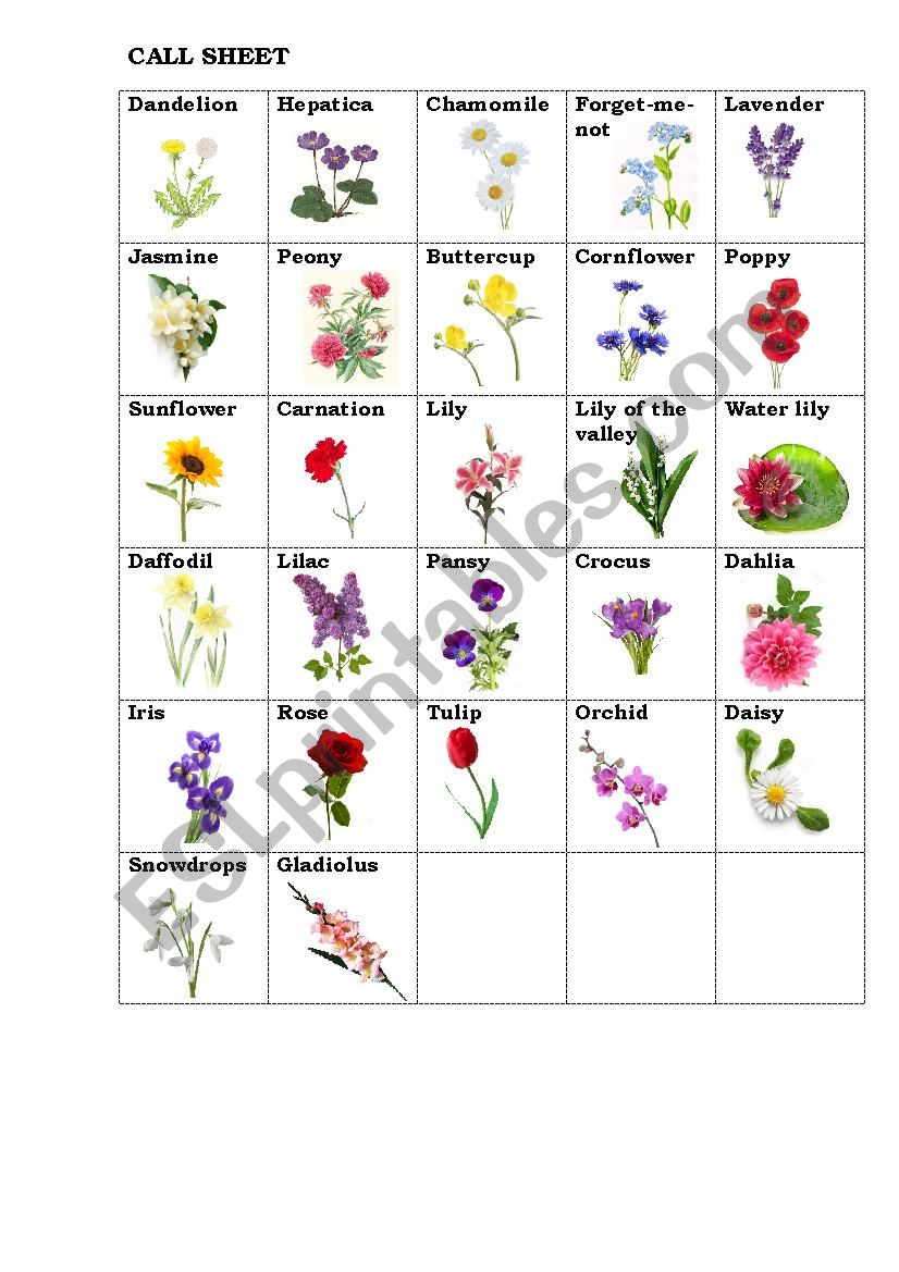 Bingo game with flowers CALL SHEET 