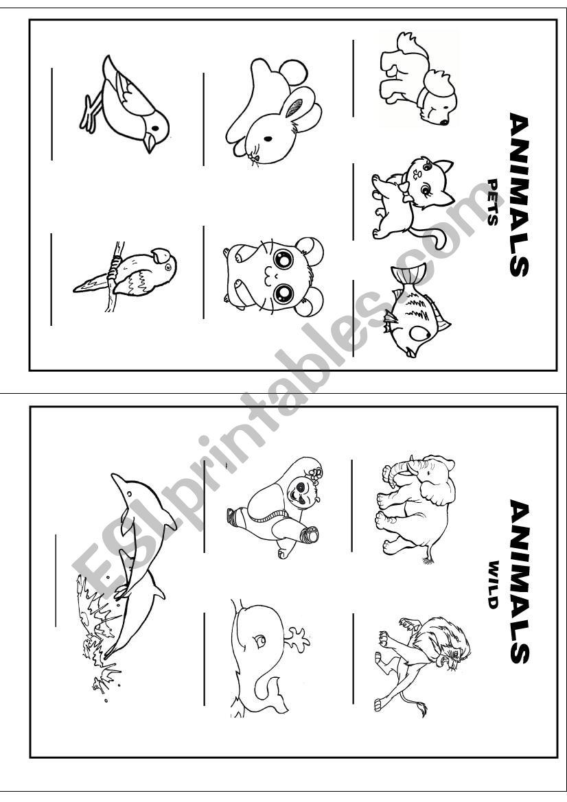 Pets and wild animals worksheet