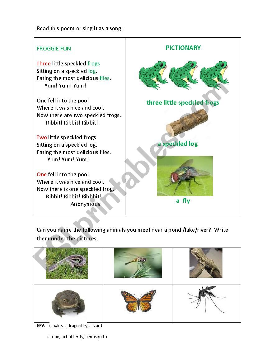 FROGGIE FUN (a poem) worksheet