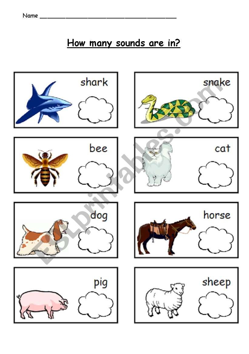 PHONICS - HOW MANY SOUNDS ARE IN?
