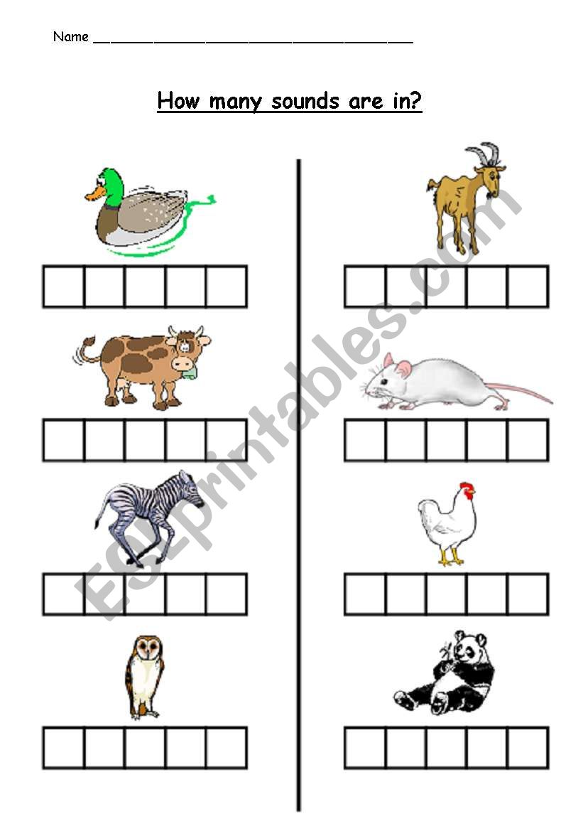PHONICS - HOW MANY SOUNDS ARE IN? (worksheet 2)