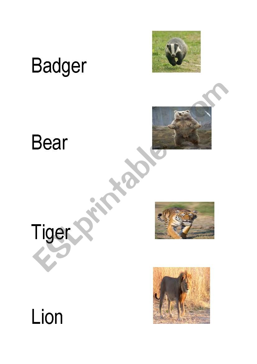 animals names worksheet