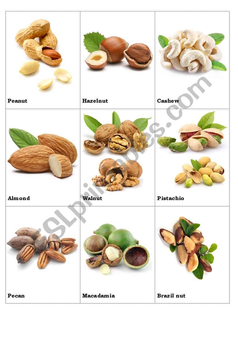 Nuts flashcards worksheet