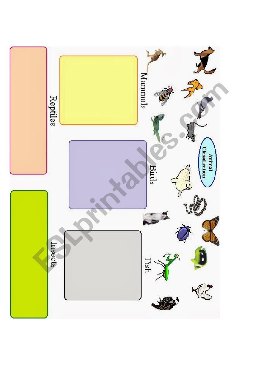 Animals classification worksheet