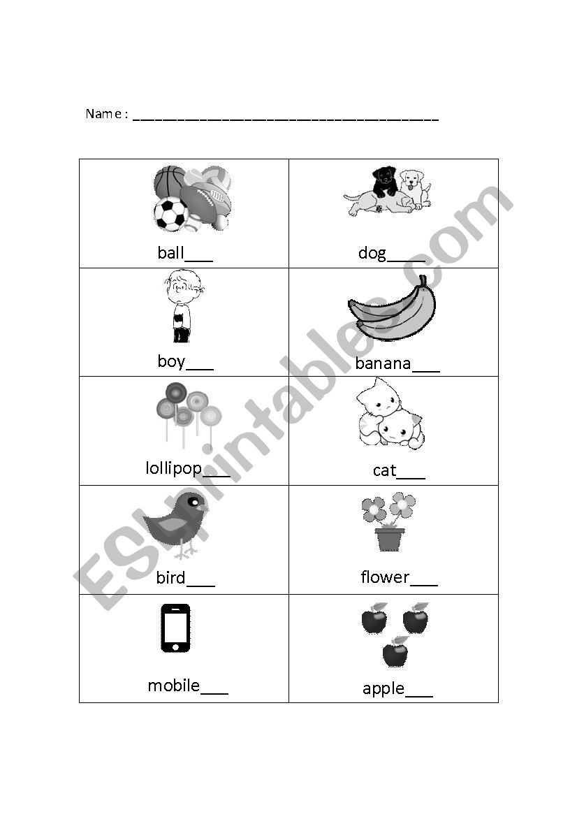 SINGULAR AND PLURAL worksheet