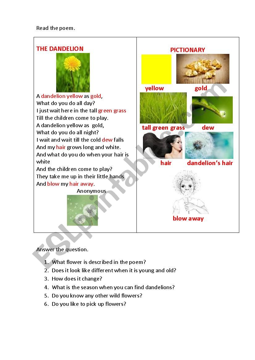 DANDELION (a poem) worksheet