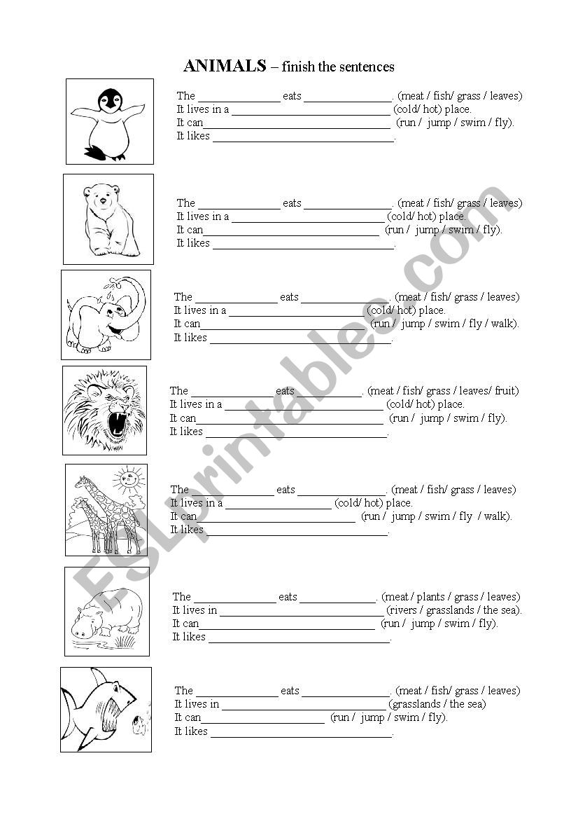 Animals - places and food worksheet