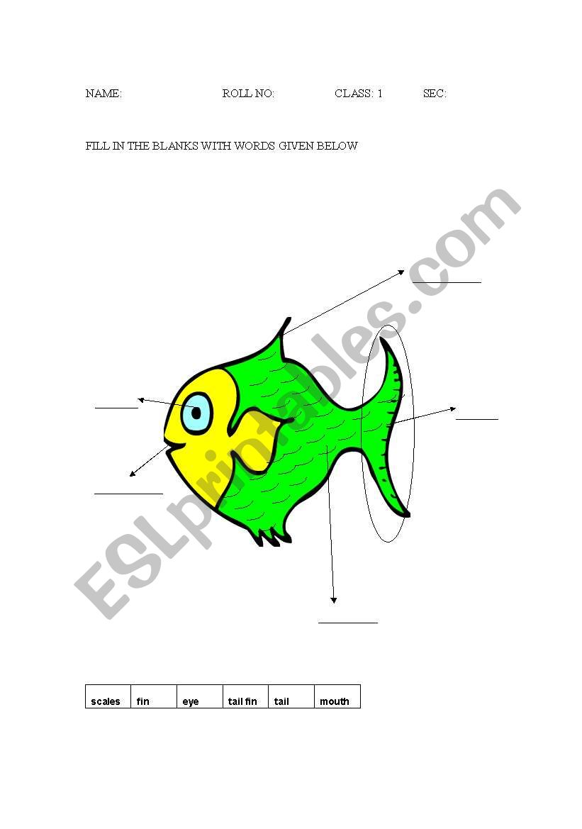 PAERS OF ANIMAL worksheet