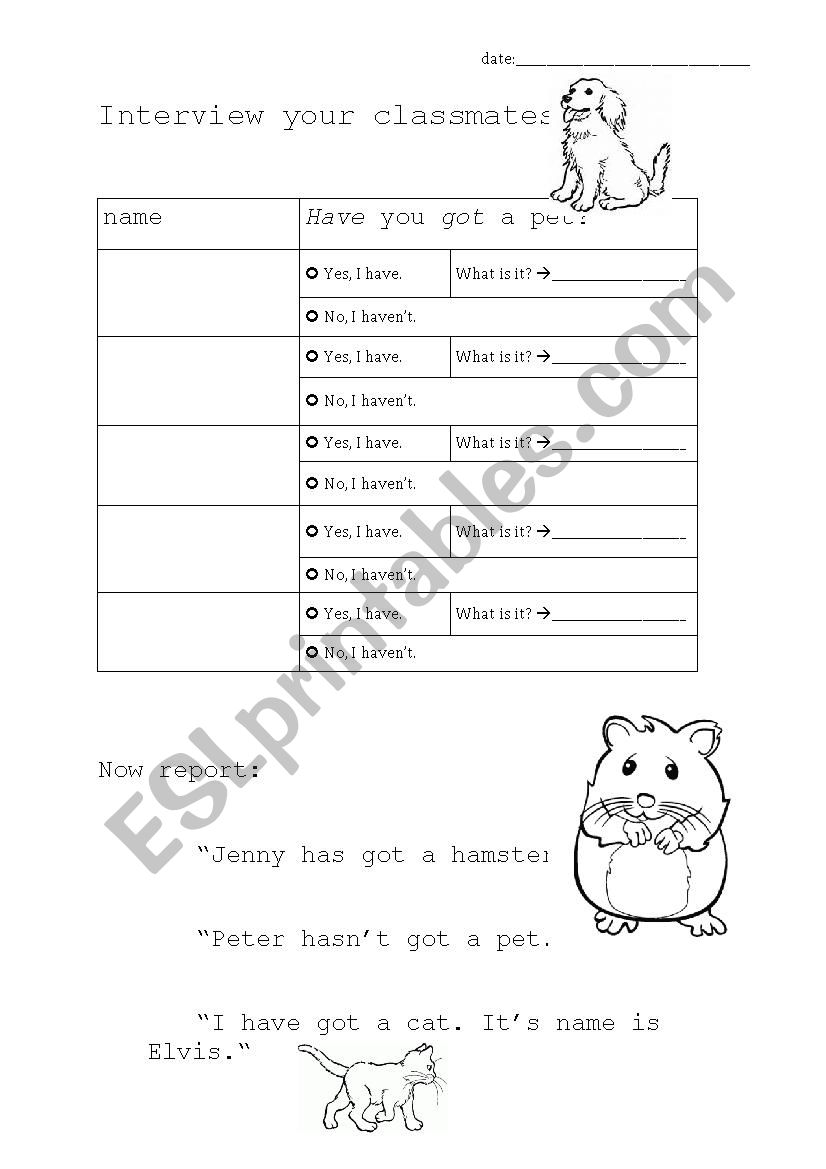 Partnerinterview - Pets worksheet