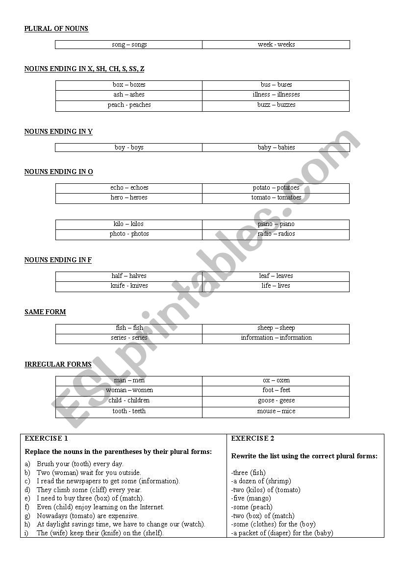 Plurals of nouns worksheet