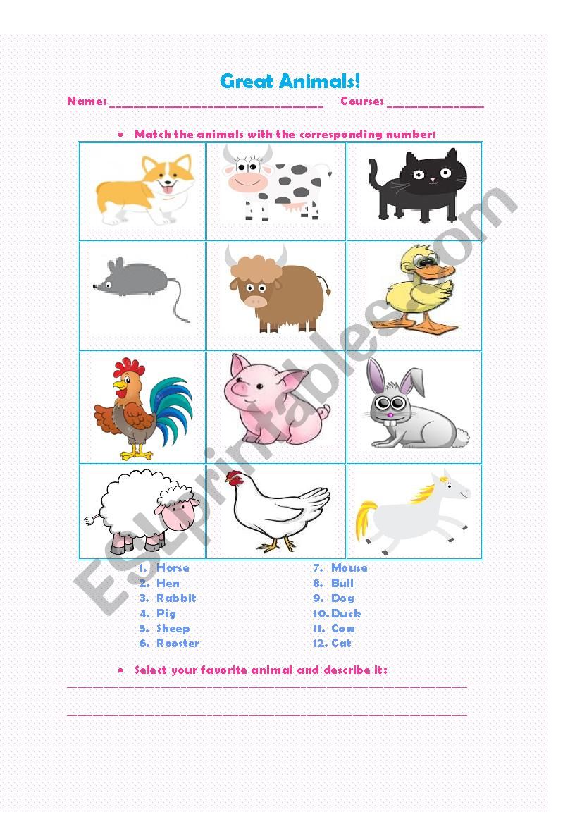 Great Animals! worksheet