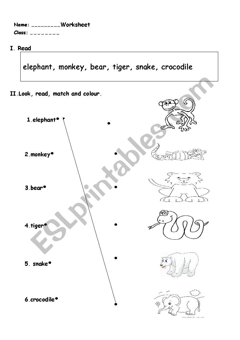 animals worksheet worksheet