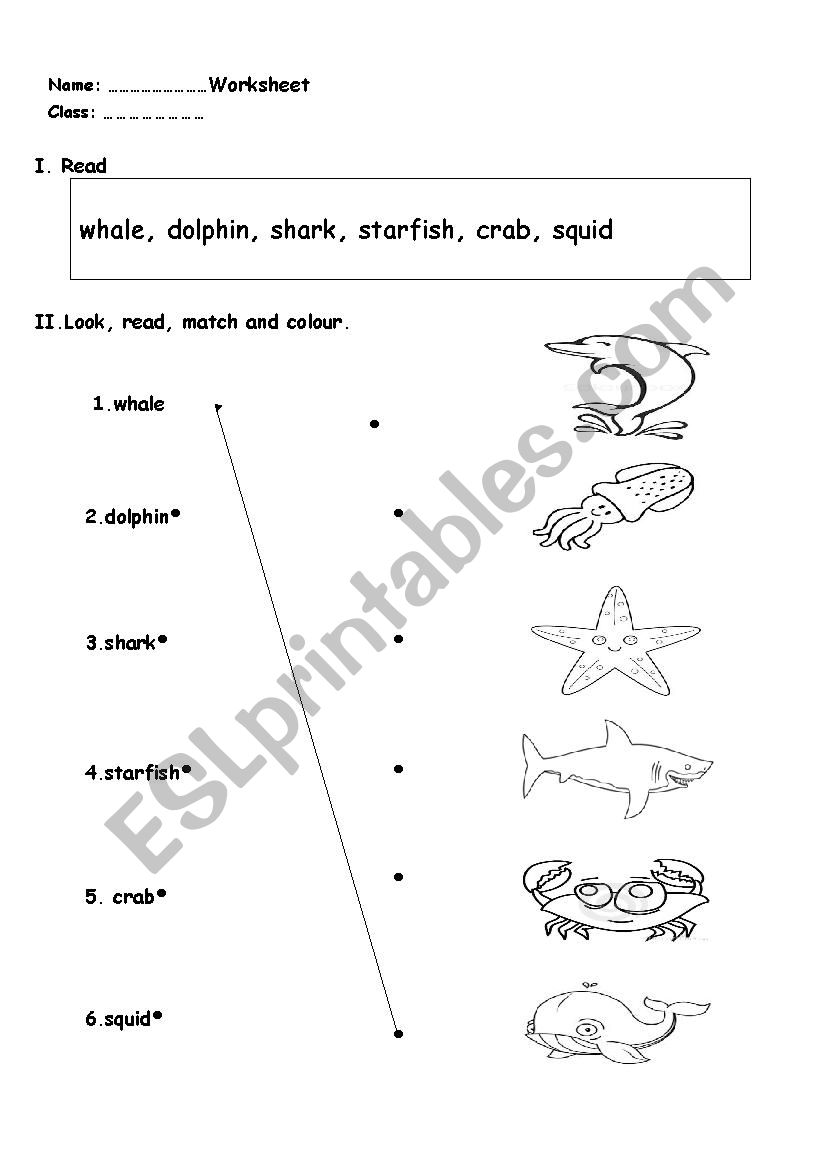 sea animals worksheet