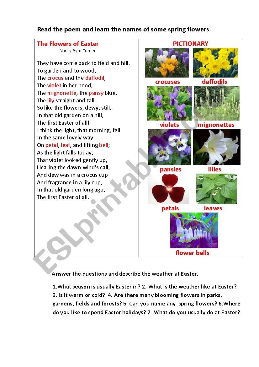 EASTER FLOWERS worksheet