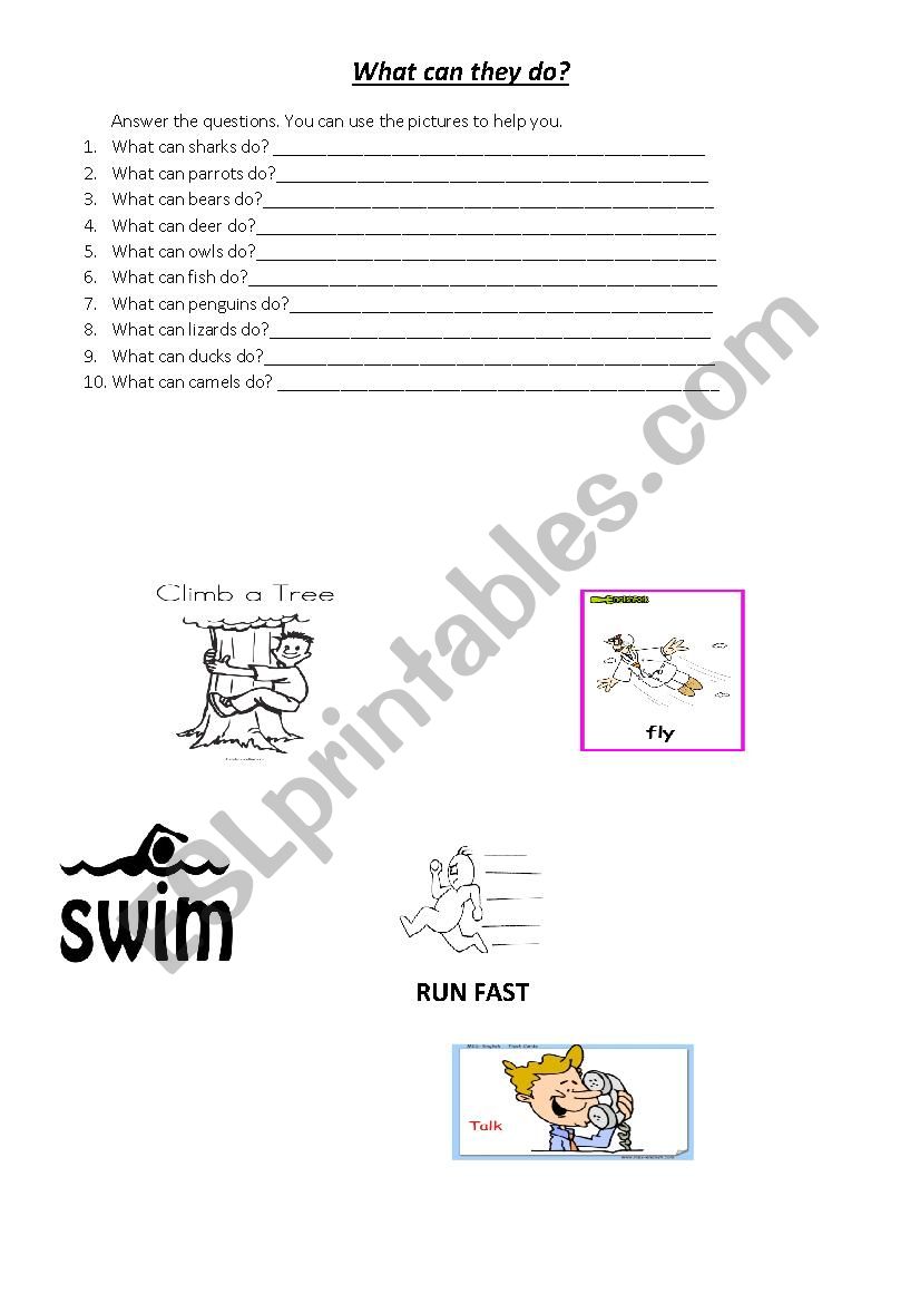 What can they do? worksheet