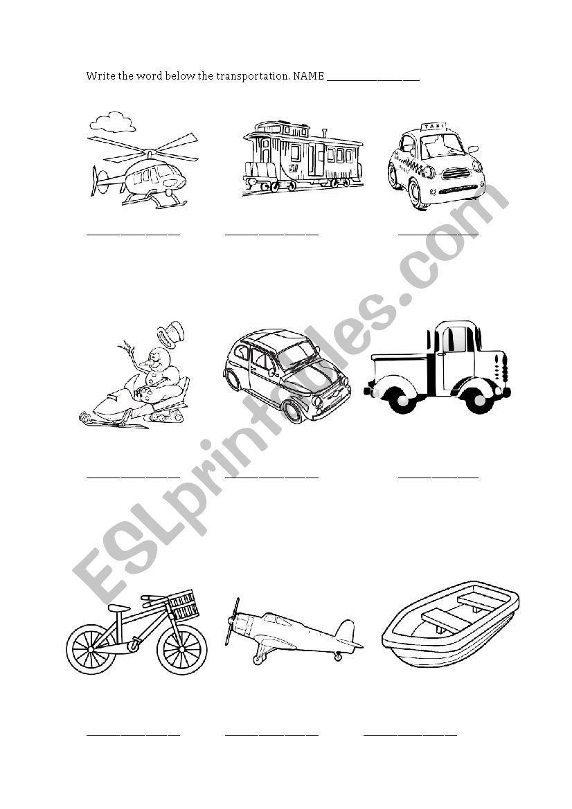 Transportation worksheet