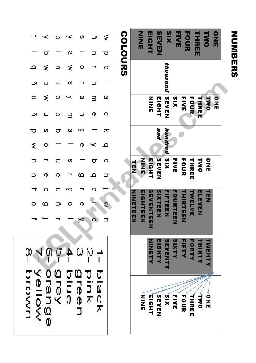 NUMBERS AND COLOURS worksheet