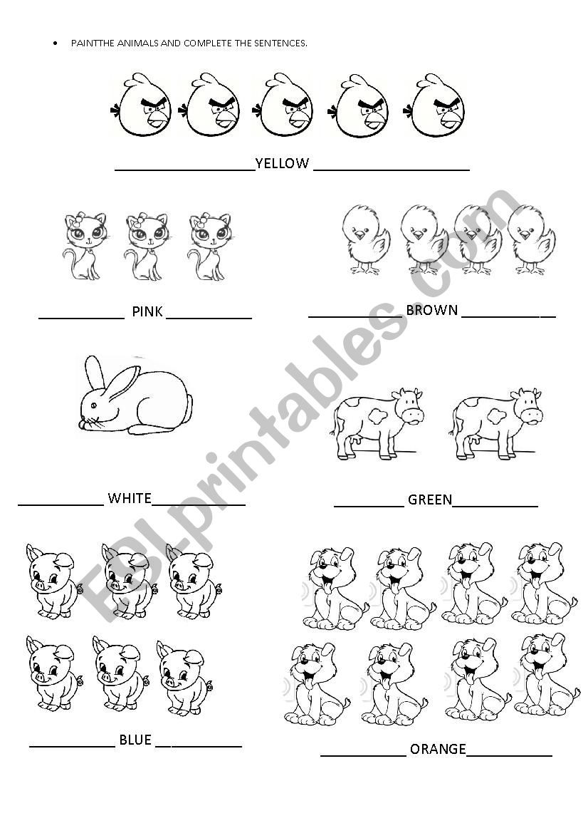 Phrases Formation worksheet