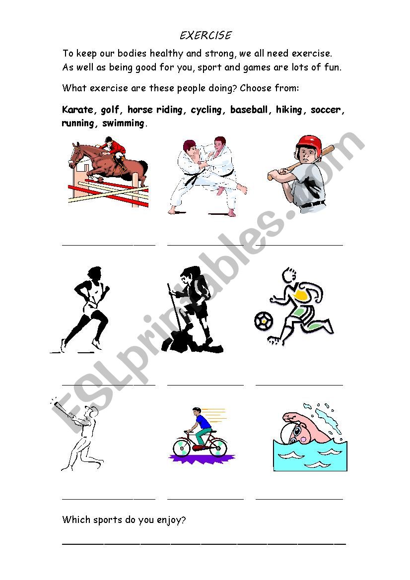 Types of Exercise worksheet