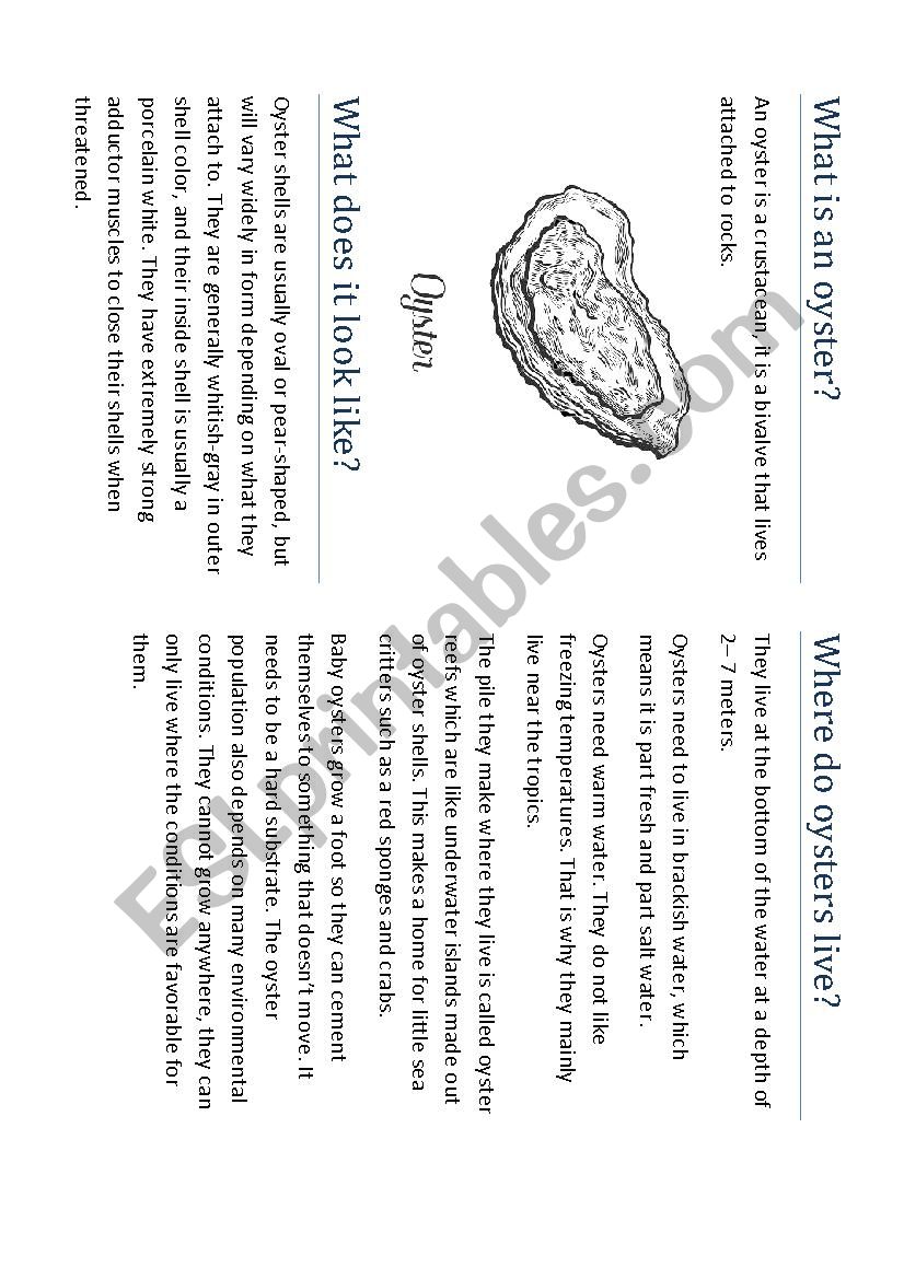 The Oyster project - ESL worksheet by Carlamon Inside Sponges A Coloring Worksheet